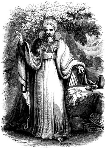 Archdruid in his full judicial costume (by Charles Knight)