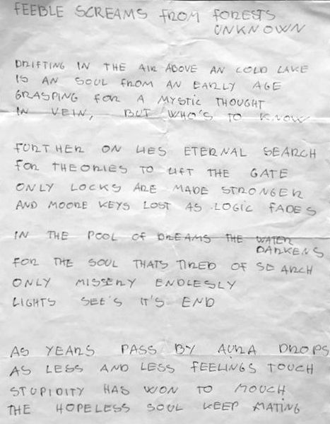 Feeble Screams From Forests Unknown lyrics
